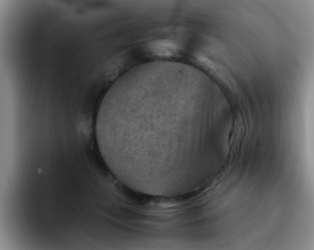 X0000092050559200709262011