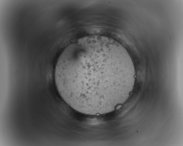 X0000092050561200709262012