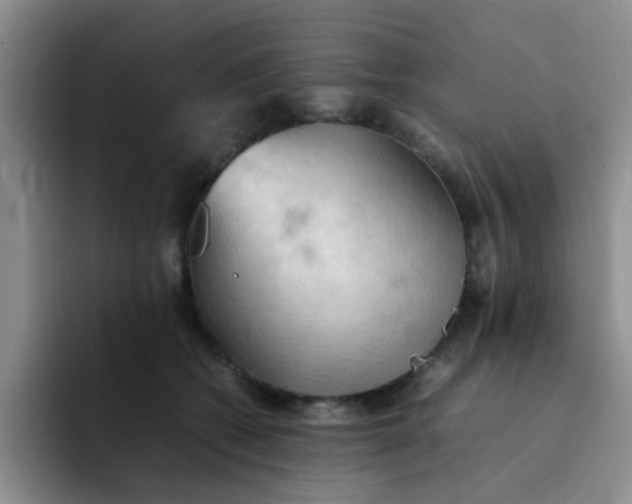 X0000092050562200709262012