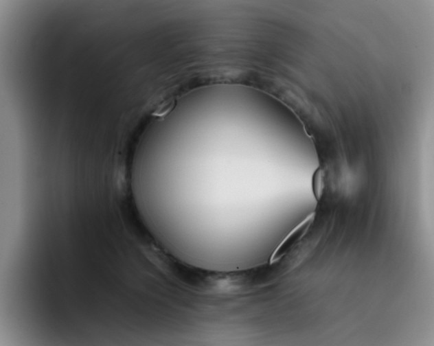 X0000092050564200709262012