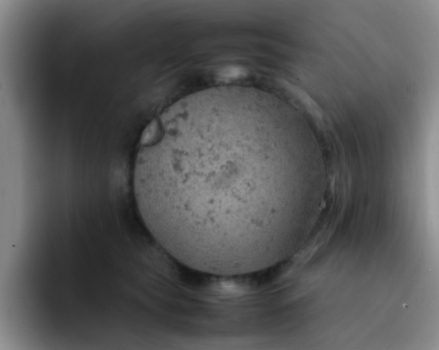 X0000092050565200709262012