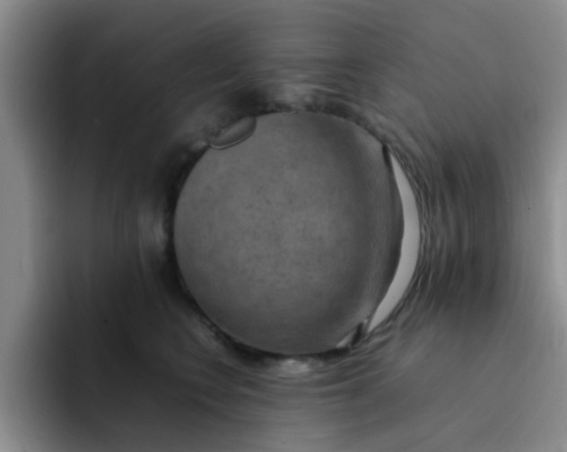 X0000092050566200709262012