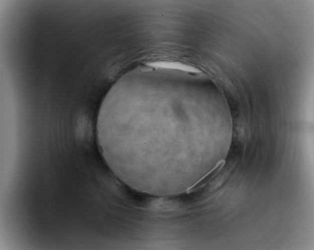 X0000092050568200709262012