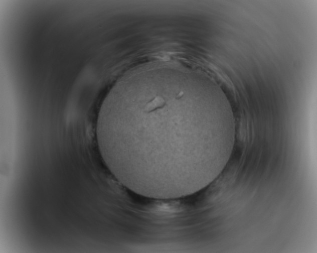 X0000092050569200709262012