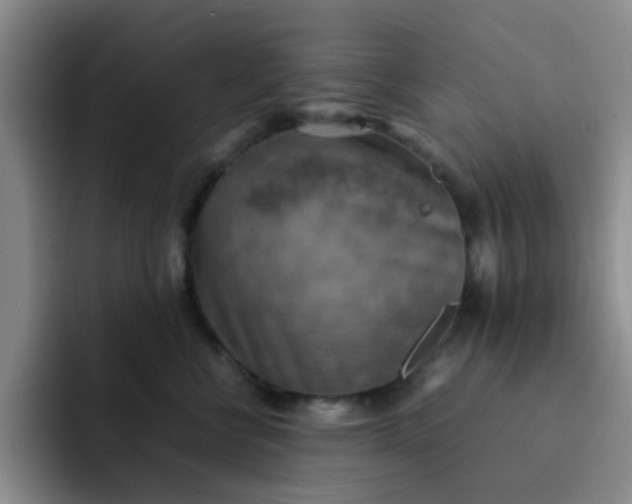 X0000092050570200709262012