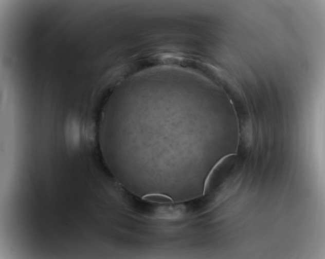 X0000092050571200709262012