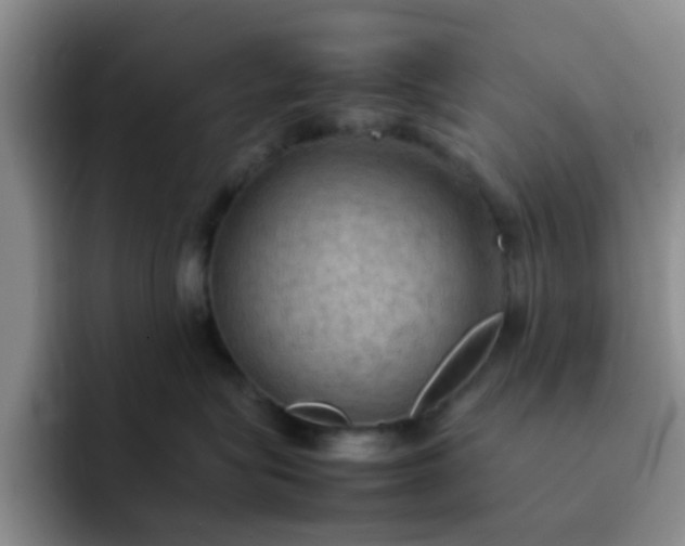 X0000092050575200709262012