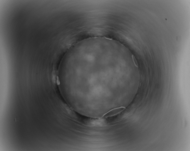 X0000092050576200709262012