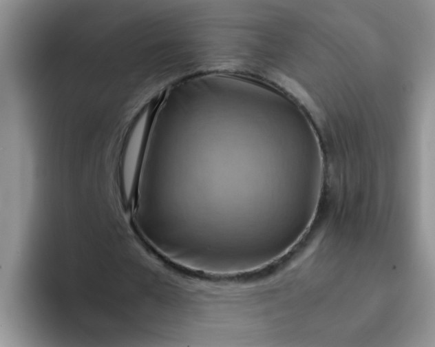 X0000092050577200709262011