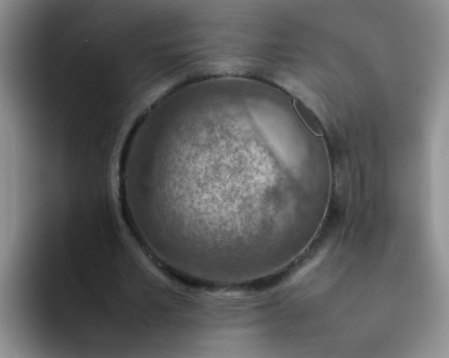 X0000092050581200709262011