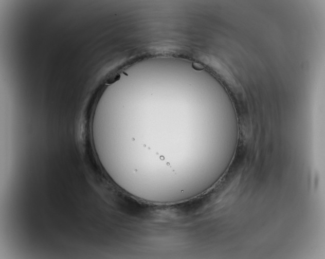 X0000092050583200709262011