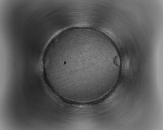 X0000092050584200709262011