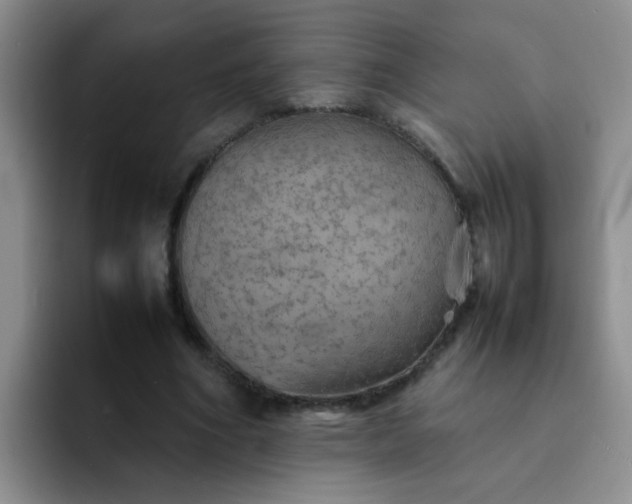 X0000092050586200709262011