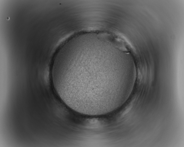 X0000092050588200709262011