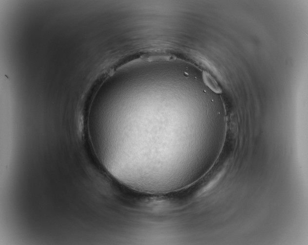 X0000092050589200709262011