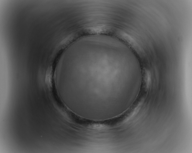 X0000092050590200709262011