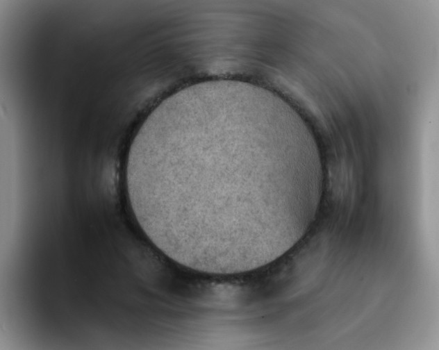 X0000092050592200709262011