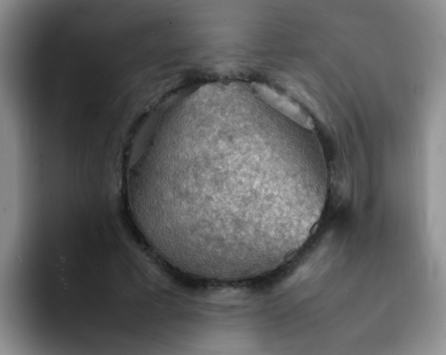 X0000092050593200709262011