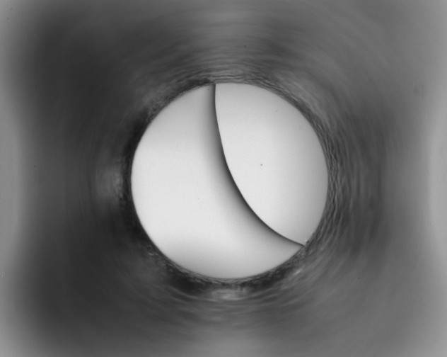 X0000092050595200709262011