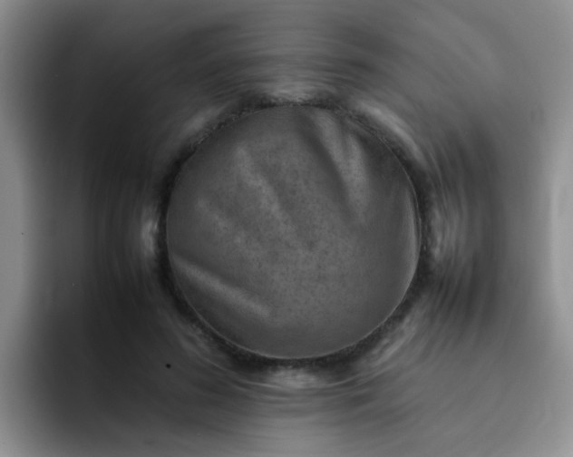 X0000092050596200709262011