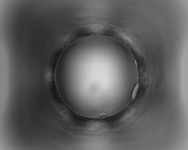 X0000092050597200709262011