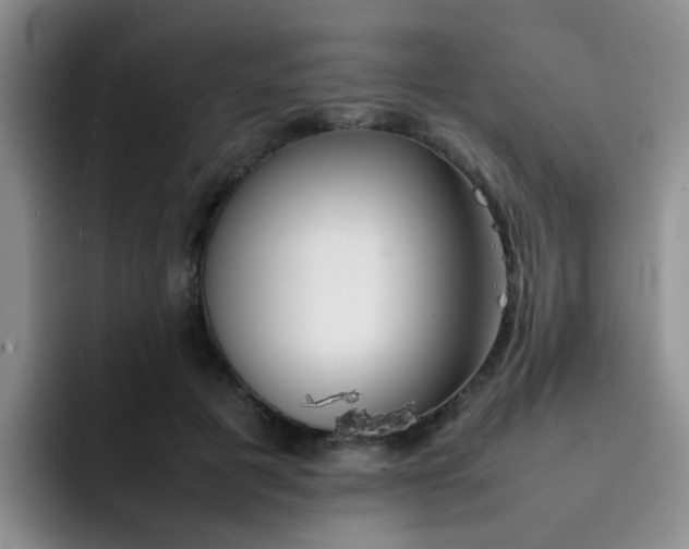 X0000092050601200709262011