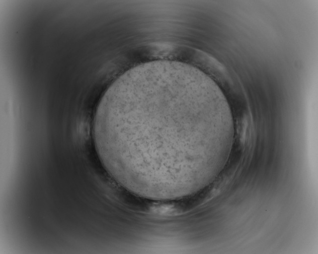 X0000092050602200709262011