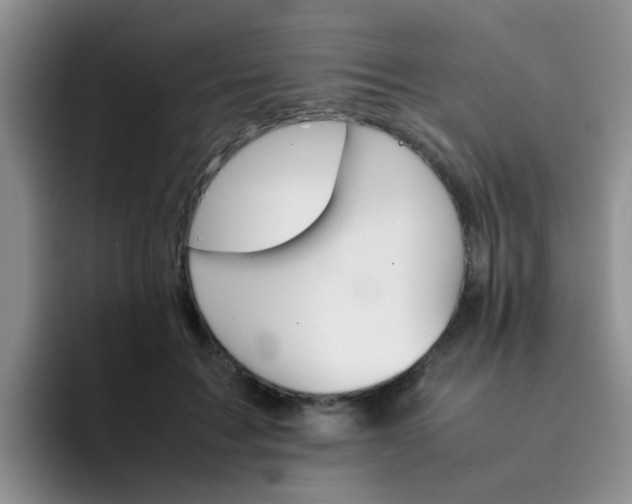 X0000092050603200709262011