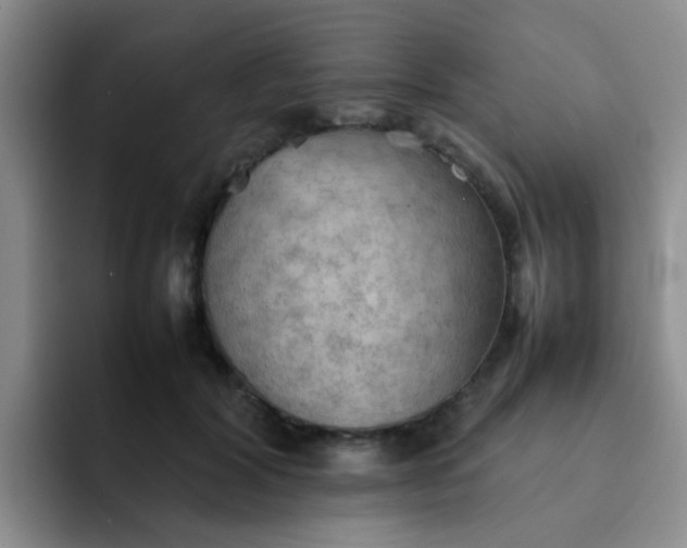 X0000092050604200709262011