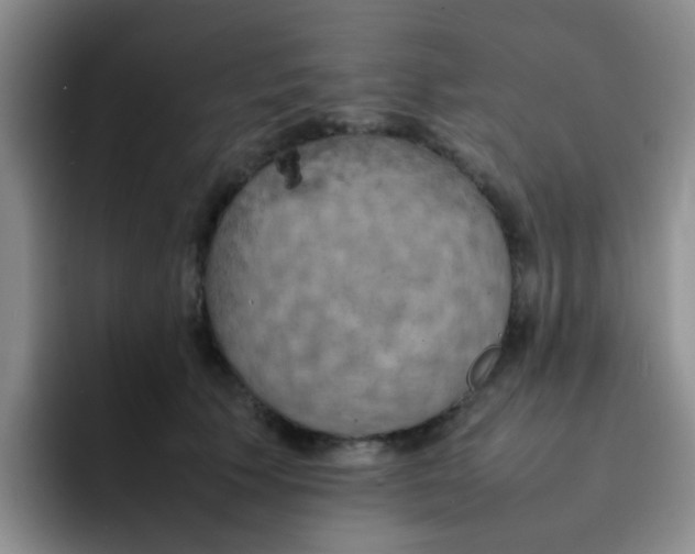 X0000092050609200709262011