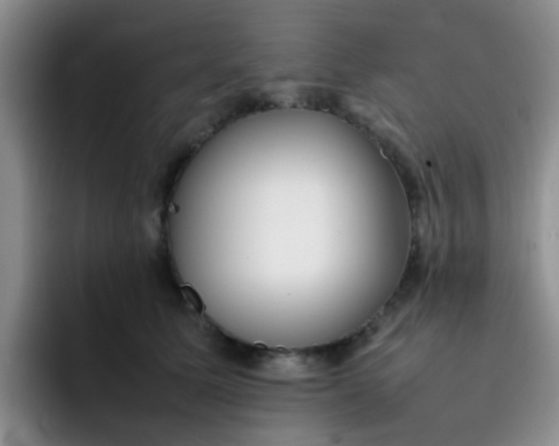 X0000092050611200709262011