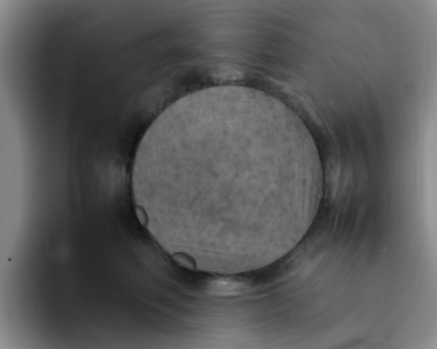 X0000092050614200709262011