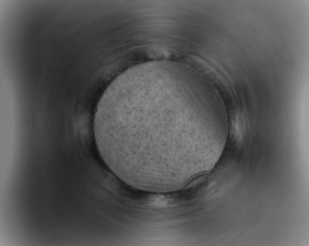 X0000092050616200709262011