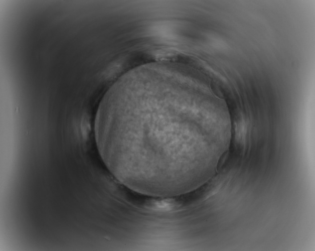 X0000092050618200709262011