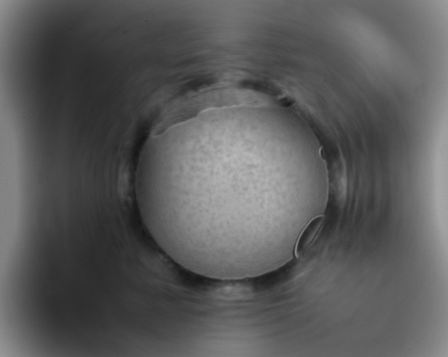 X0000092050619200709262011