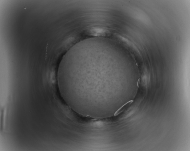 X0000092050620200709262011