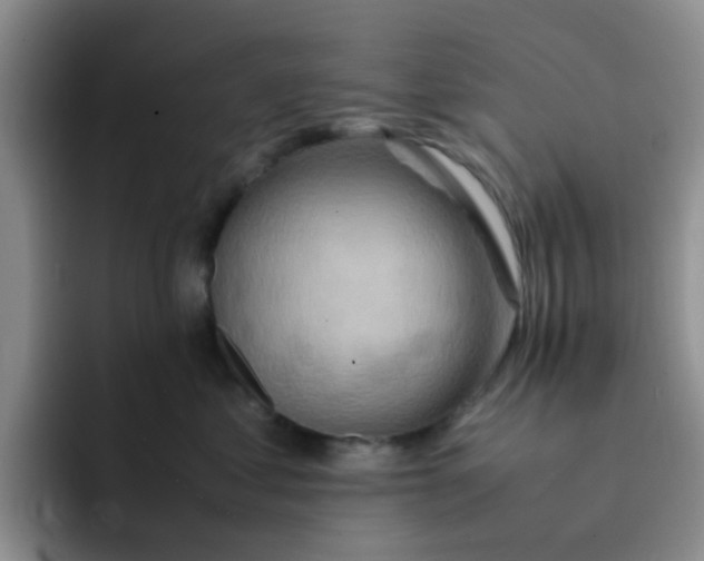 X0000092050621200709262011