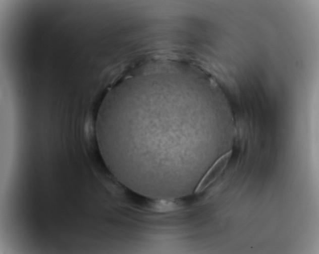 X0000092050623200709262011