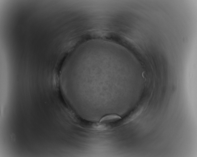 X0000092050624200709262011