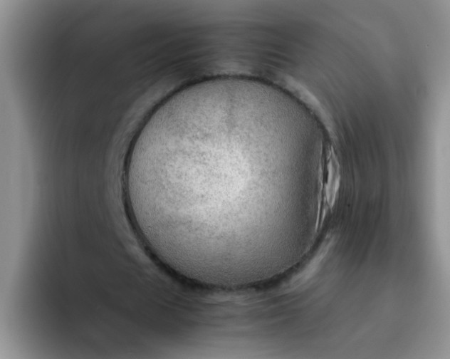 X0000092050625200709262010