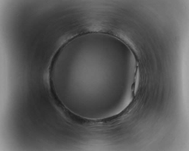 X0000092050626200709262010