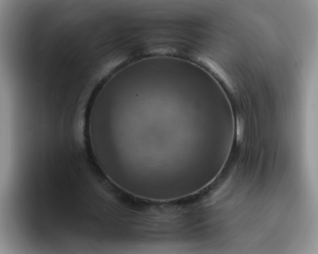 X0000092050627200709262010