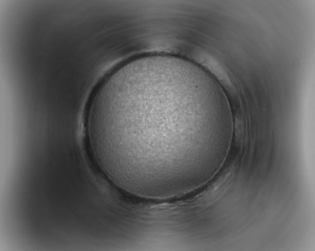 X0000092050628200709262010