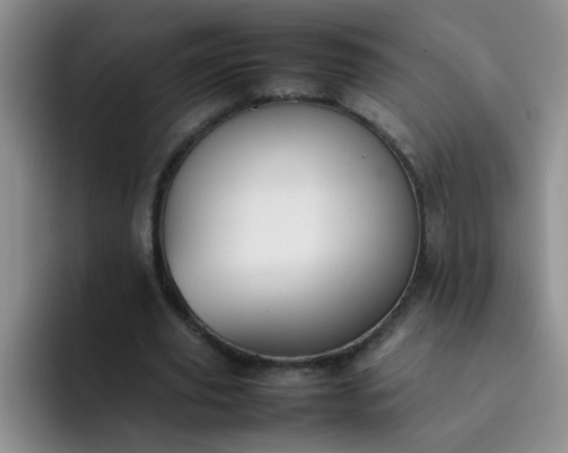 X0000092050629200709262010