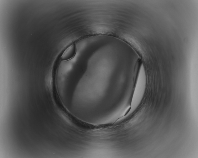 X0000092050630200709262010