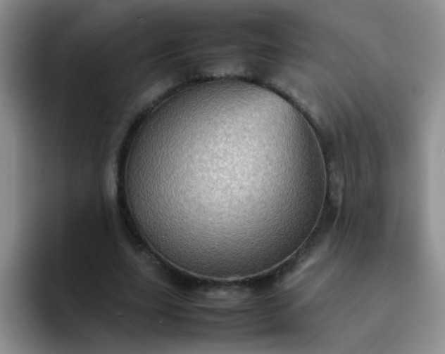 X0000092050631200709262010