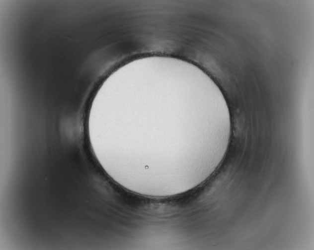 X0000092050632200709262010