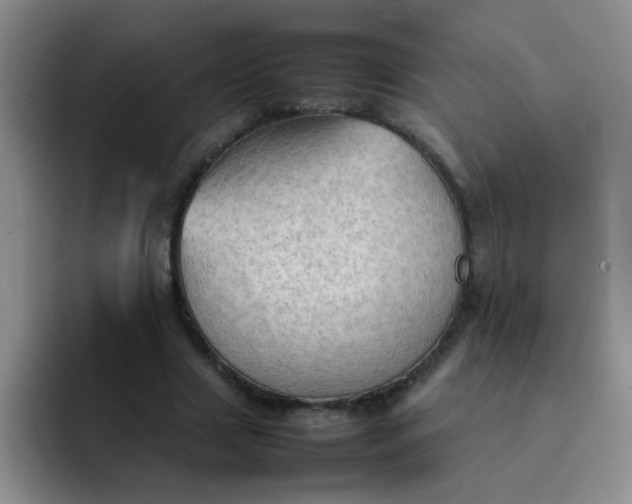 X0000092050633200709262010