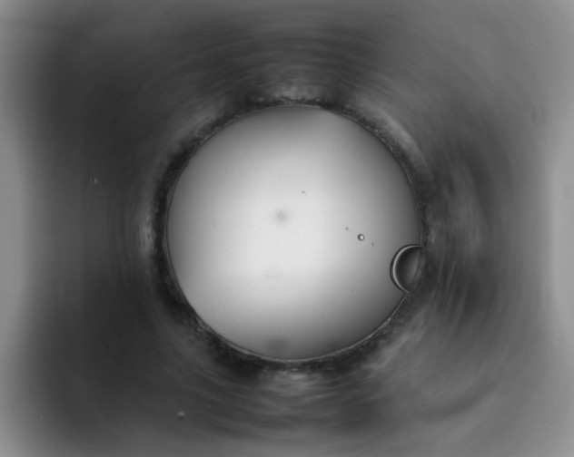 X0000092050635200709262010