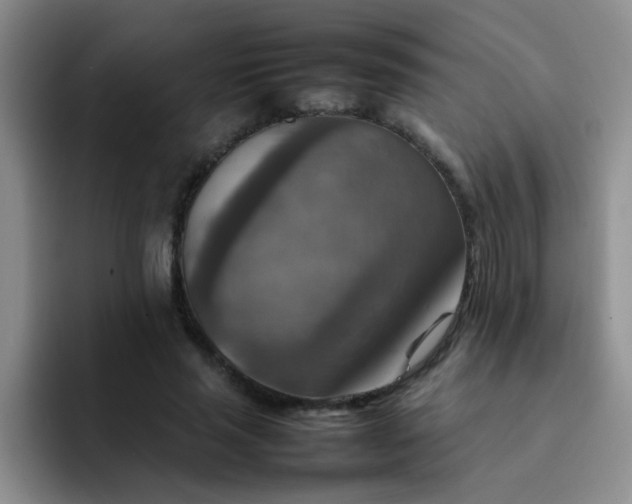 X0000092050637200709262010